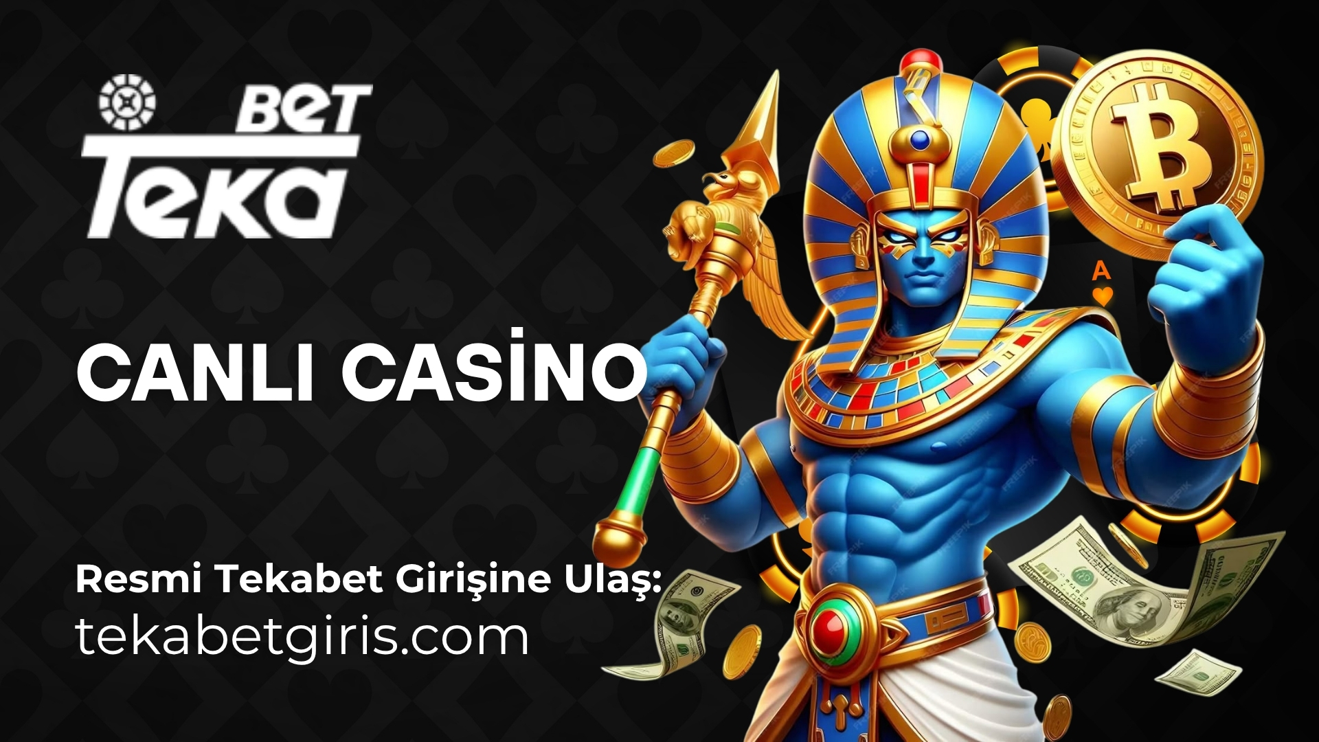 tekabet canlı casino